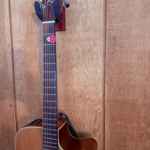 Ian Campbell Guitar Logo Pick - Image 2