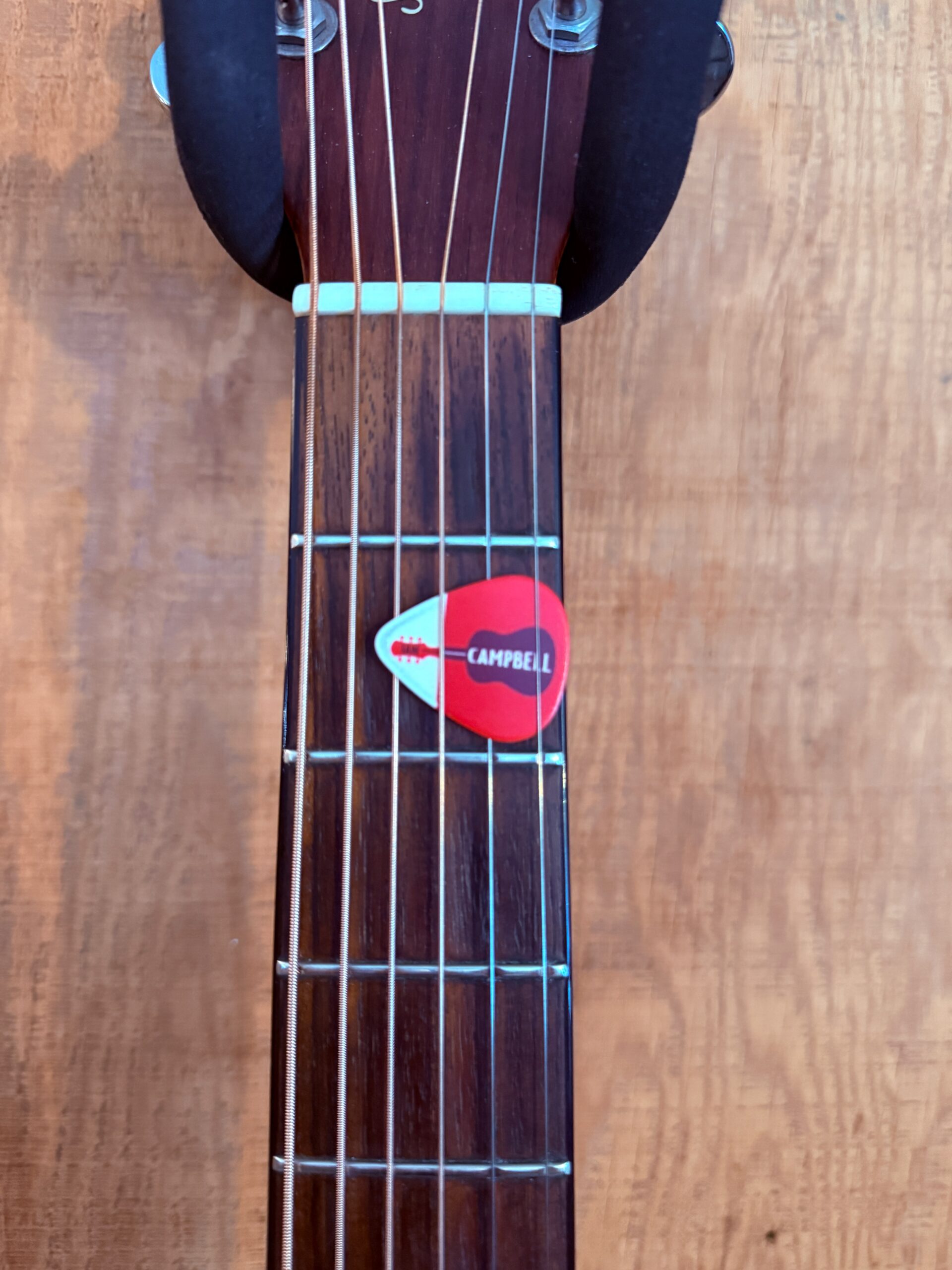 Ian Campbell Guitar Logo Pick - Image 1